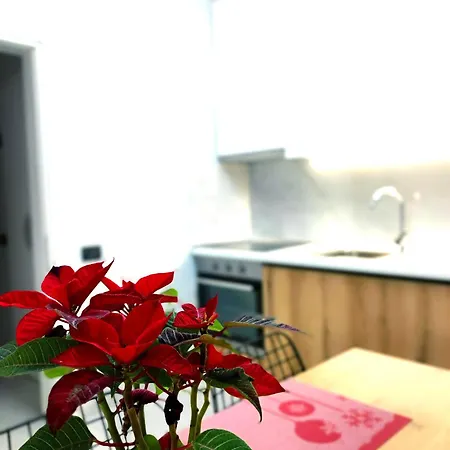 Apartment Central & Comfy 2 Bedroom *